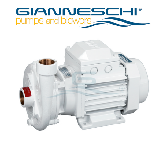 Gianneschi CF 18 22 IE3 BZ Marine Centrifugal Pump 01BMA32G106