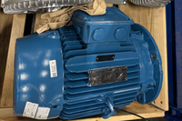 WEG W22 IE3 Premium Efficiency 11 kW Electric Motor - WEG W22 PREMIUM 11KW 3~ 160L-06